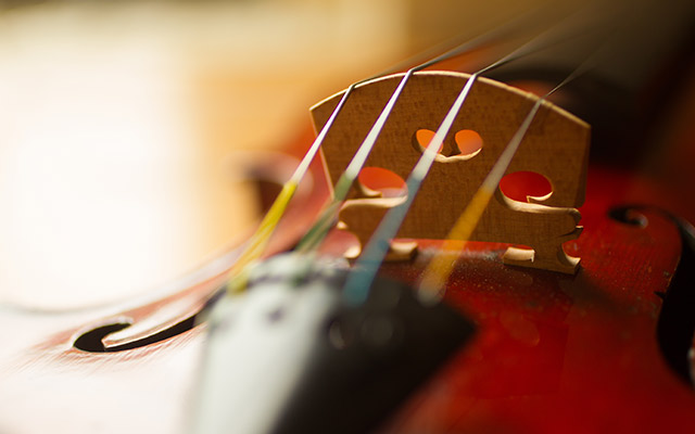 Johnsonstring's tweet image. Strings: gut, steel core, and synthetic core; we have a wide selection and are here to help you select based on your technique, instrument, and music choice. 
johnsonstring.com/violins-facts/… #violinstrings #stringedinstruments #musicalinstruments