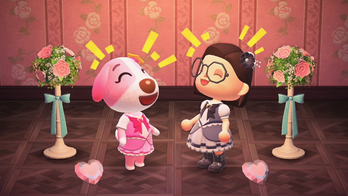 Mintycranberry's tweet photo. I finally got cookies photo so i did a celebratory photoshoot :3 #AnimalCrossing https://t.co/2nXitx4abr