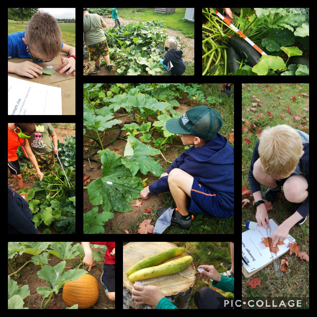 Deron Moores tweet media