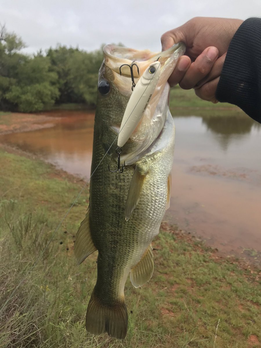 pewpewfishing's tweet photo. @MysteryTackleBx https://t.co/mGUps2XAMK