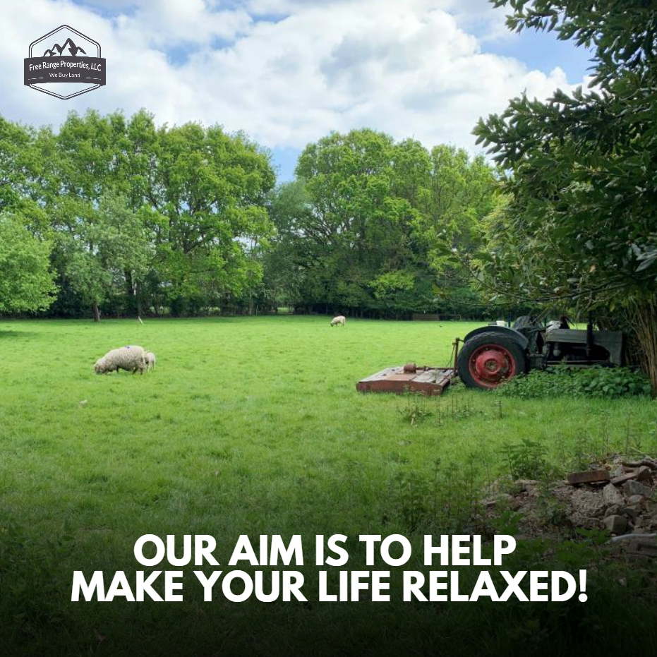 FreeRangeProp's tweet image. We'll buy irrespective of condition and situation. Avoiding Foreclosure? Facing a divorce? Behind on taxes? It doesn't matter.
-----
Learn more: freerangeproperties.net
.
.
.
.
#freerangeproperties #land #realestate #nature #landscape #property #realtor #house