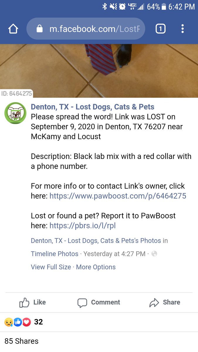 connorjbark's tweet photo. Last seen yesterday in #Denton near Locust and McKamy. He has a bright red collar on and his name is Link. If you see him please please dm me. Thanks. #UNT #lostdog https://t.co/vE2g5GjK5j