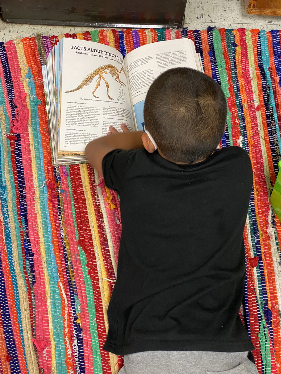 Mrs_McCarroll's tweet photo. I have a class full of readers this year! I have students begging to spend time reading the books in their personal book  boxes and my heart couldn’t be happier📚 I pray their excitement and love for books continues to grow! https://t.co/67pKUZKIB1