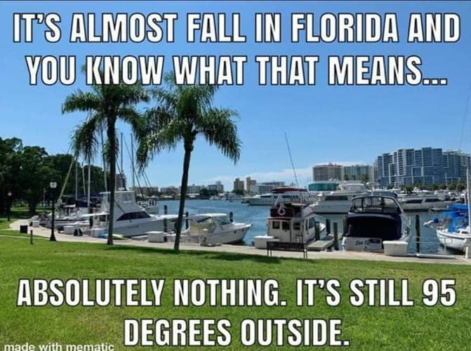 TCsFrontPorch's tweet photo. #TCsFrontPorch #NavarreBeach 
We love Florida anyways <3 https://t.co/qDpbrZsDl9