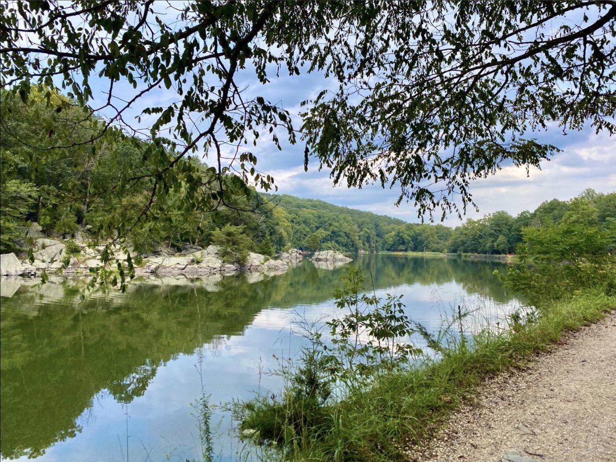 BikeLeague's tweet photo. Last weekend, @rebeccarusch inspired so many gravel adventures (even ours!) Now her #RPIChallenge is close to its $50,000 goal - 100% of the proceeds support the #BeGood Foundation and groups like us in our collective efforts to get more people on bikes. https://t.co/V6sPN6FJwA https://t.co/Vi5s02JjRm