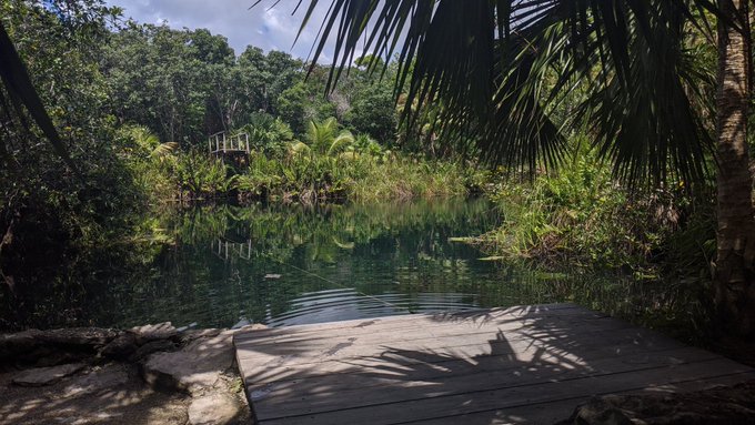 🥺 I'm in love with this country https://t.co/lkWRDc0igS