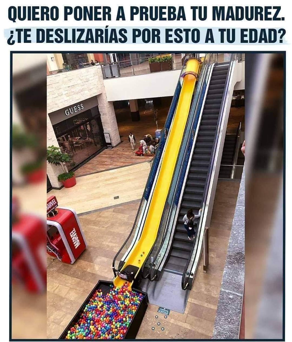  Miriam Tous  tweet media