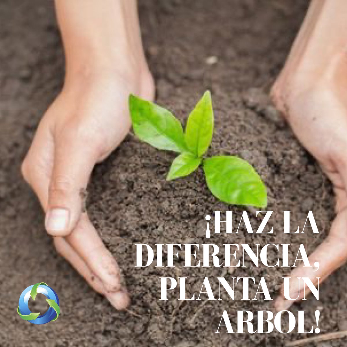 ¡Haz la diferencia, planta 🌱 un árbol 🌳! #PlantaUnArbolHoy #VidaSostenible