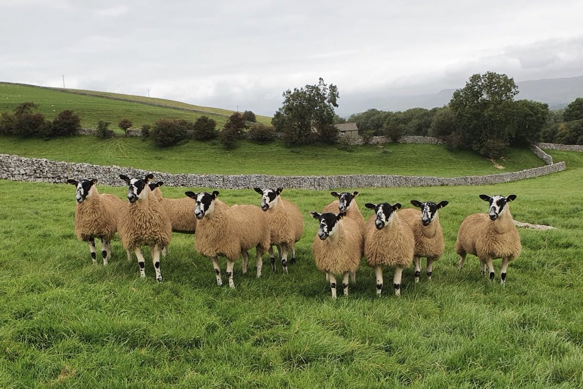 Laura Smithson tweet media