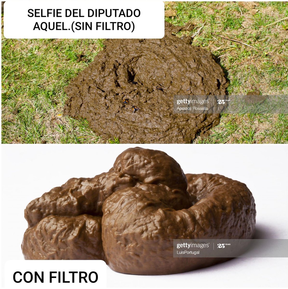 pelafato tweet picture