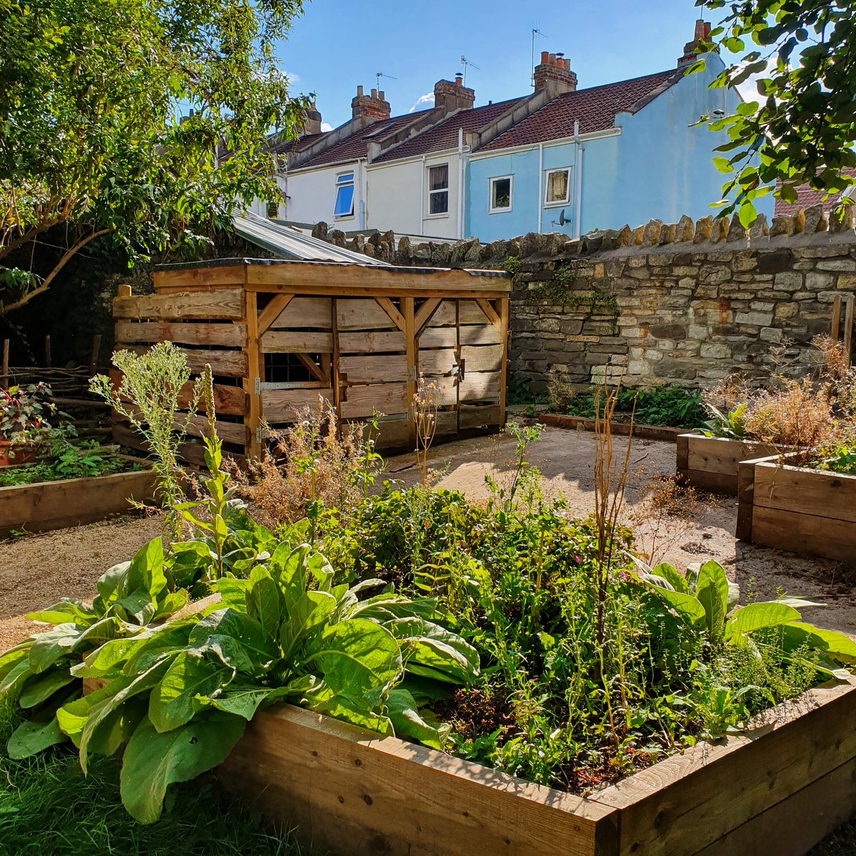 secretgardenweb's tweet photo. I stopped off at @arnosvalecemetery #communitygarden after work to see how it's looking... just stunning as it turns out!
#communitypond #wildlifepond #bristolgardens #bristollife #creativegarden #colourfulbristol #lovebristol #gardeningforall #gardeninglove https://t.co/axRFr2b1Ac