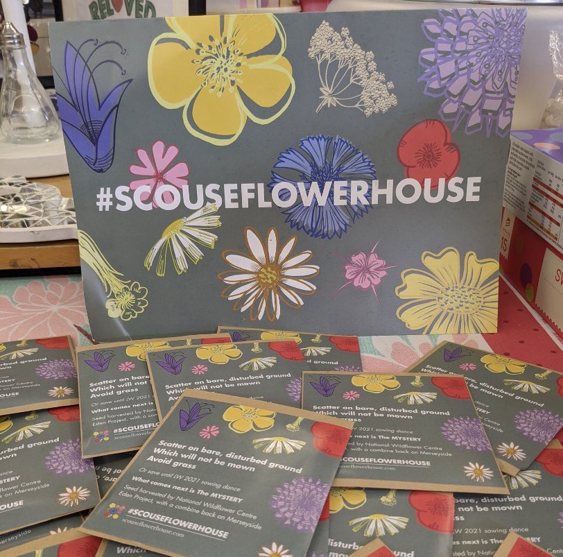 Looking forward to a planning visit from @scouseflowers on Saturday #scouseflowerhouse #wildflowermeadow #communityplanting #natureconservation #pollinators #NorrisGreen #FoNGP
