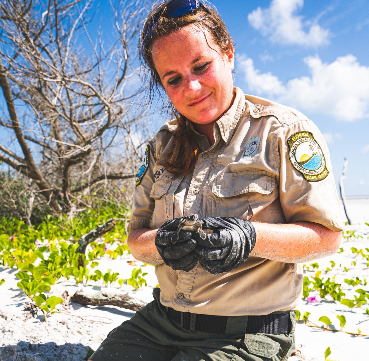 NoahValenstein's tweet photo. @FLStateParks Little Talbot Island State Park is having a great turtle nesting season with over 50 nests this year. Always great to see turtle nest research and monitoring at #flstateparks! https://t.co/vtxhav4gqS