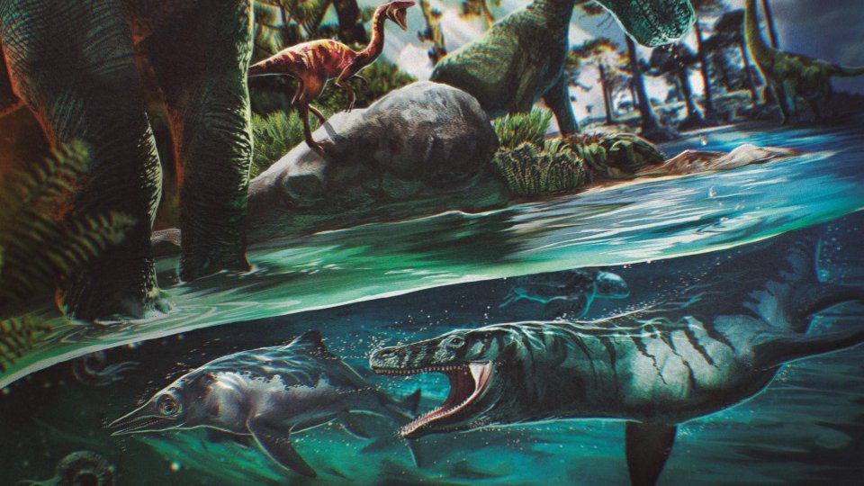 Uno de estos mares cubrió parte del país antes del levantamiento de Los Andes, por eso, en Santander, Tolima y Boyacá encontramos fósiles marinos. Si pudiéramos sumergirnos en este mar, veríamos organismos muy diferentes a los que hoy habitan allí  #Paleontropica  #HaceTiempo 3/16