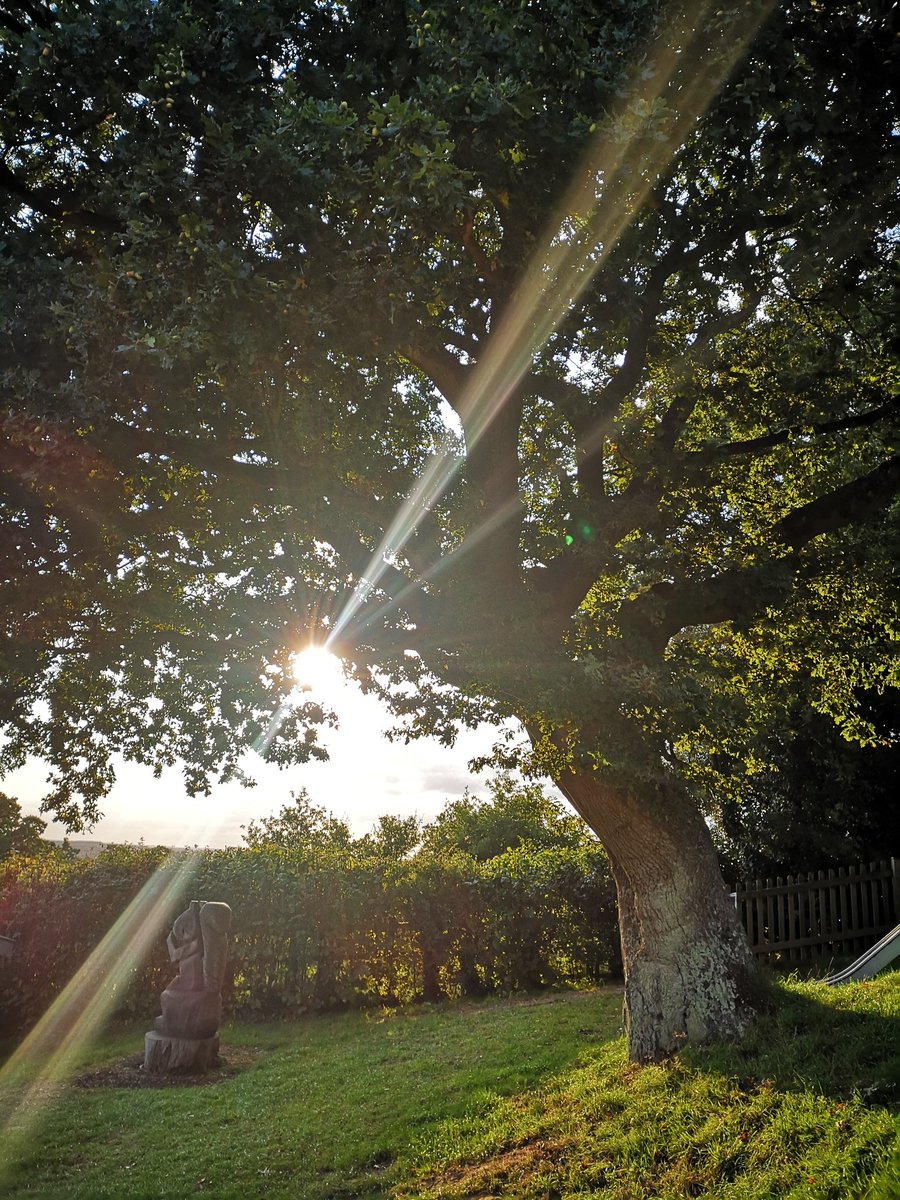 TitchyDitch's tweet photo. Another day, another park, another picnic supper! The best way to reconnect with my little girl after a full day of work. Have done it every night this week & it's been the best! #MakingTheMomentsCount #Teacher5aDay @teacher5aday @maternityCPD #Connect #Notice #SelfCareIsVital https://t.co/MjeSEInBXy