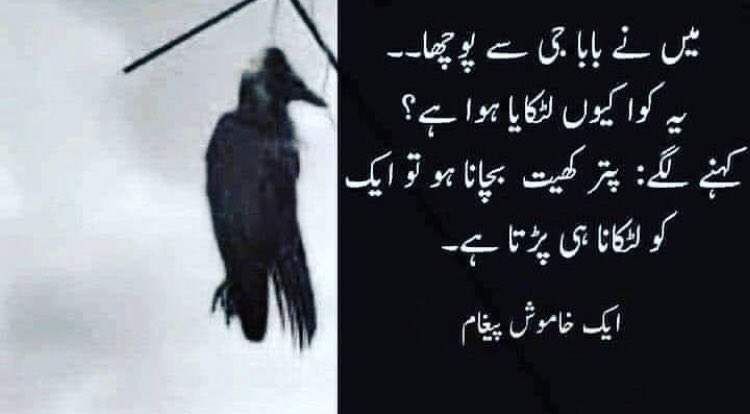 iyusraiqbal's tweet photo. #HangTheRapist  #motorwayincident https://t.co/j6PPsu0t76
