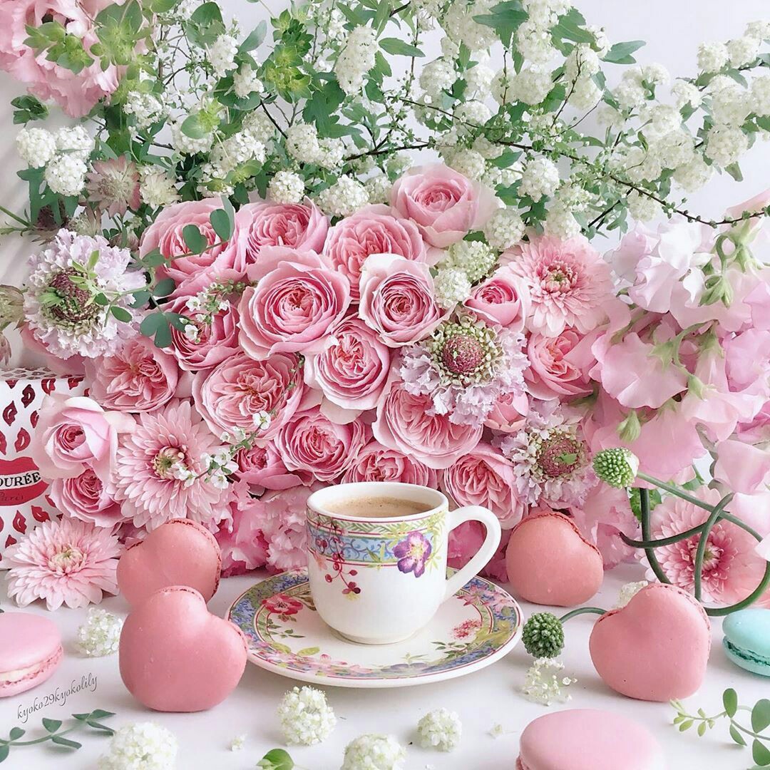 Good morning world. Happy Friday morning has come here. I wish you a  wonderful day. #GoodMorning #GoodMorningTwitterWorld #HappyFriday  #HappyFridayeve #Flowers #flowerphotography, image size:1080x1080