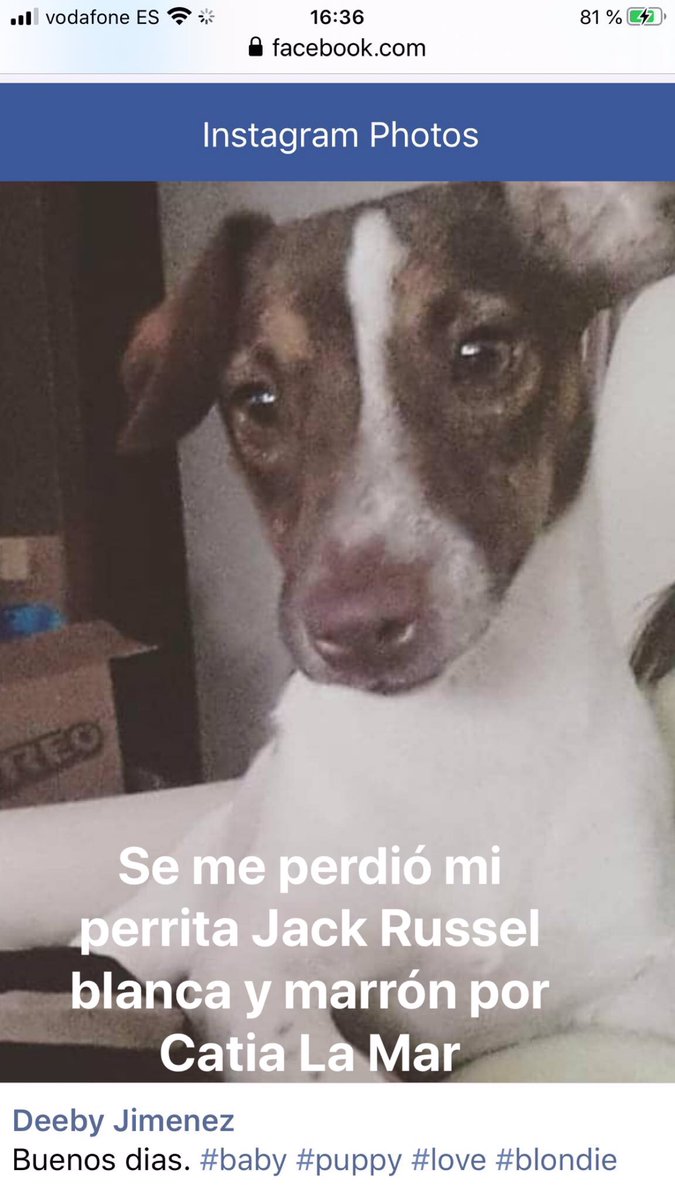 Carlos P Alba Charliesemperfi Twitter