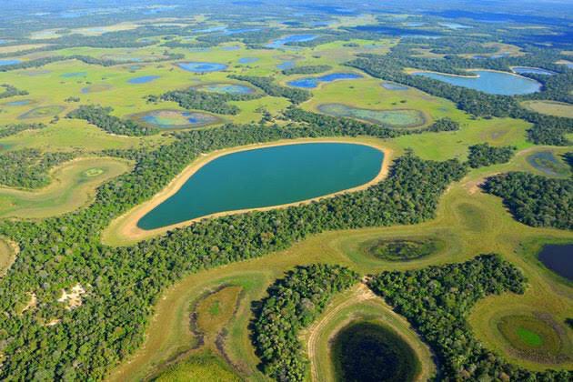 richarlison97's tweet photo. A terra é a nossa maior riqueza #savePantanal https://t.co/SS8k9KxCyg