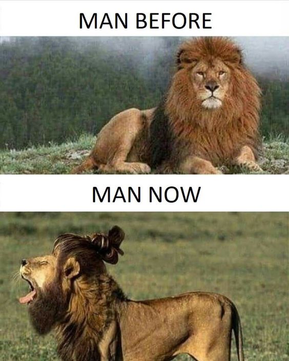 #funny #coolsmash #comedy #laugh #smile #trending