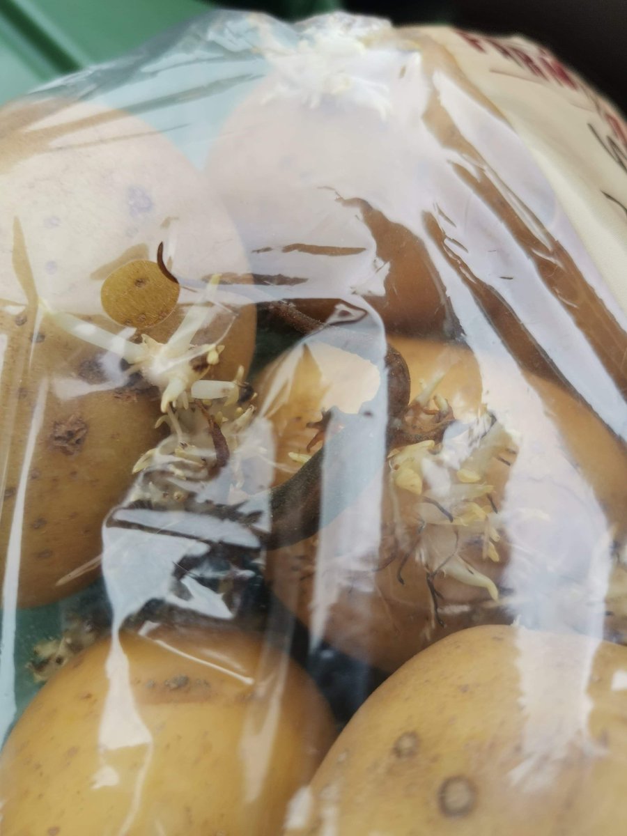 Leanne Stanners tweet media