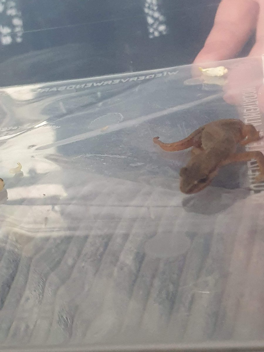 Leanne Stanners tweet media