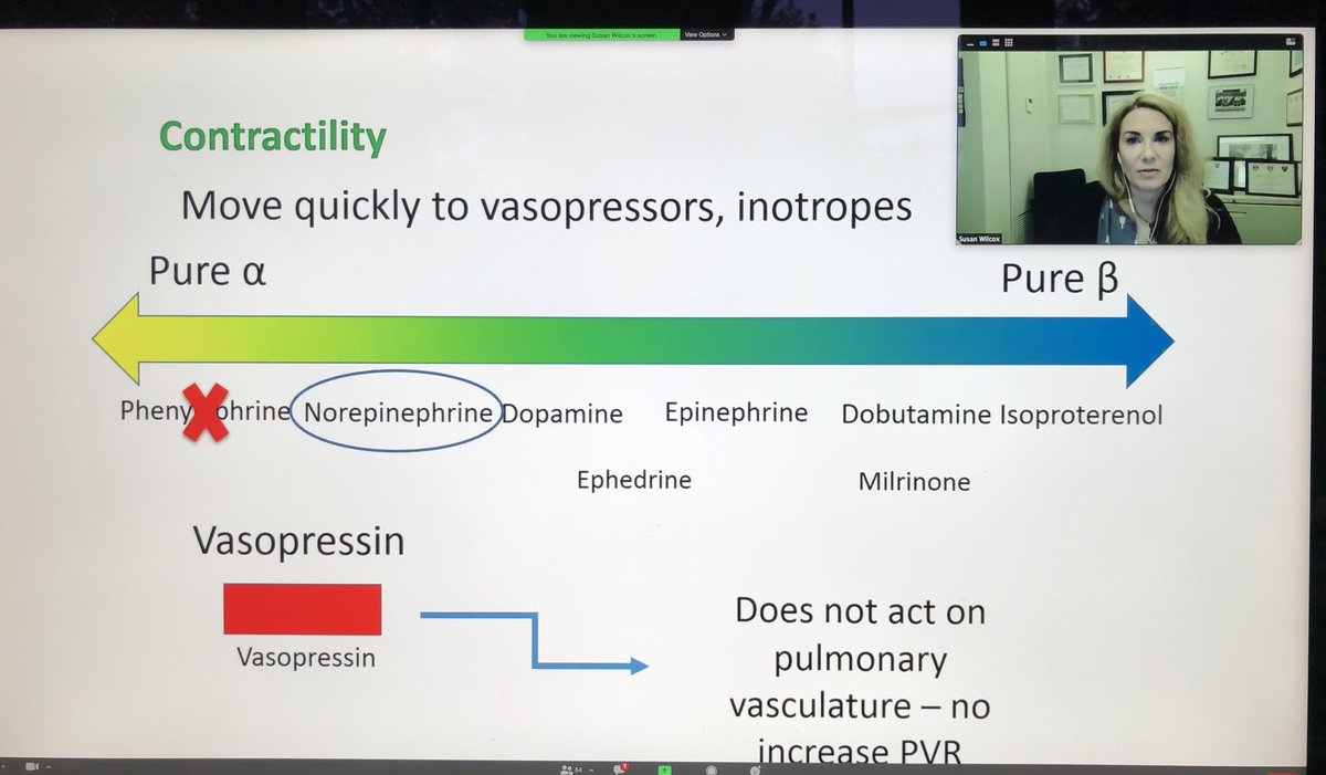 Still thinking about today’s amazing  @UWEmerMed VIP Grand Rounds featuring  #EMCCM legend, Dr. Susan Wilcox! It is no surprise she has had teaching awards named after her after listening to her talk on how to recognize and effectively treat pulmonary HTN and RV failure in the ED.