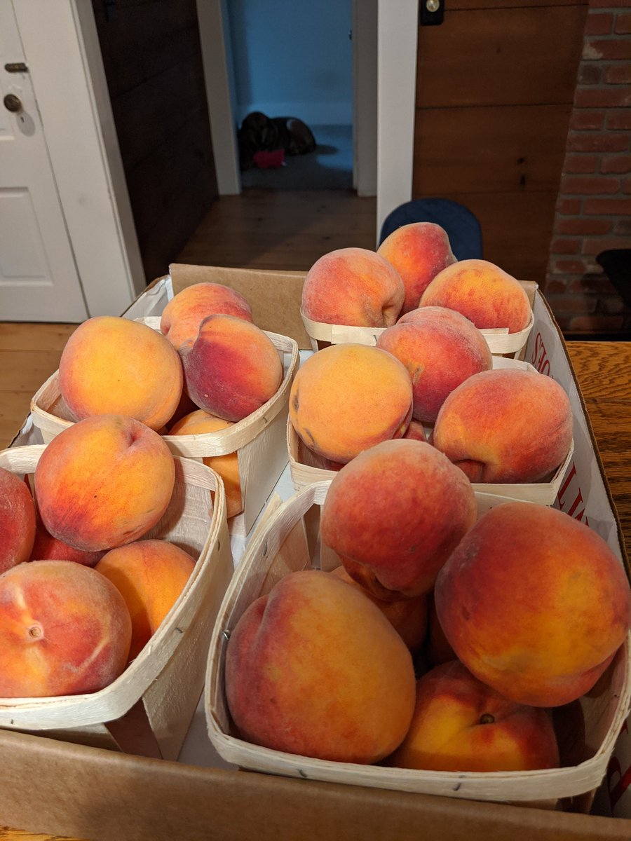 My jars have arrived. Time to can these peaches.
