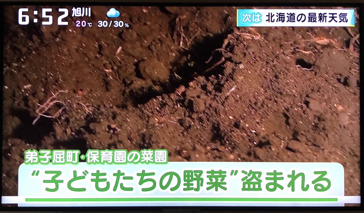 これは許せない！保育園児が育てていた収穫時期の野菜が窃盗された…。