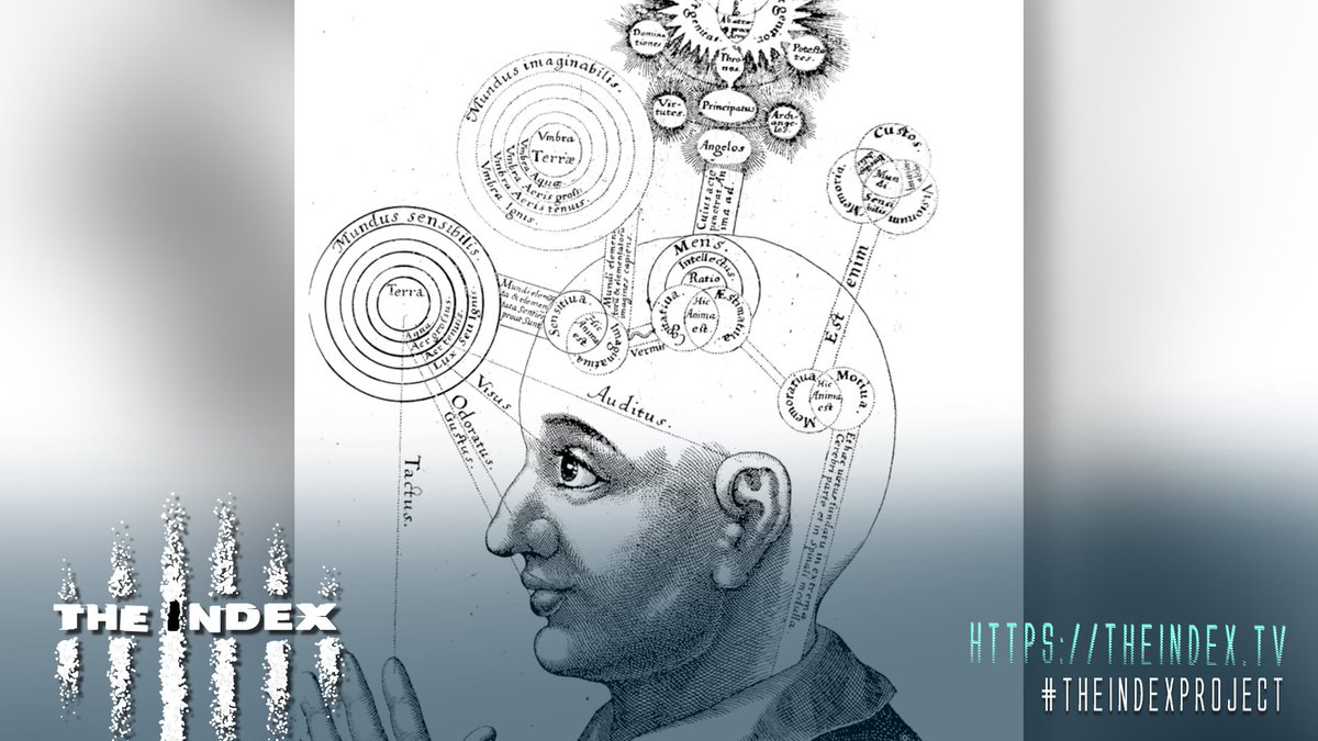 theindexproject's tweet photo. "The brain is better interpreted as a receiver of the aether, than of the producer of consciousness"
~ •´¨'°÷•..×
#subconsciousmind
#createyourreality
#mentaluniverse
#mentalprojection
#mentalreality
#mentalism
#panpsychism
#biocentrism
#quantumpunk
#quantumfiction
#qpunk https://t.co/UI1iIJNzHj