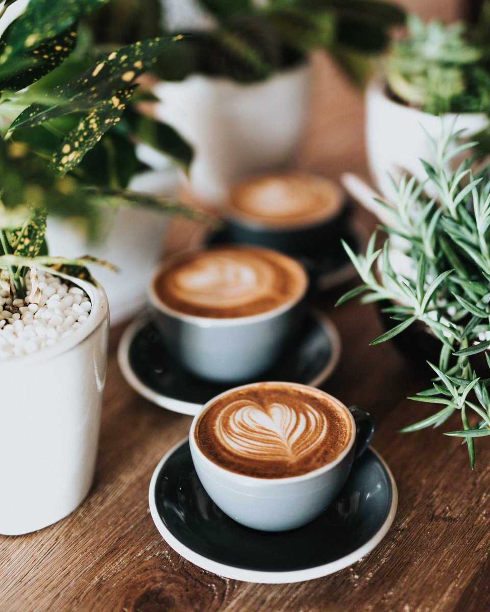 bluestonefine's tweet photo. #coffee #coffeetime #cafe #coffeelover #coffeeshop #espresso #coffeeaddict #food #love #coffeelovers #barista #latte #kopi #breakfast #coffeeholic #foodporn #foodie #instagood #instacoffee #latteart #coffeegram #specialtycoffee #coffeebreak #caf #instafood #cappuccino #art #bhfyp https://t.co/9CgHGEJzz1