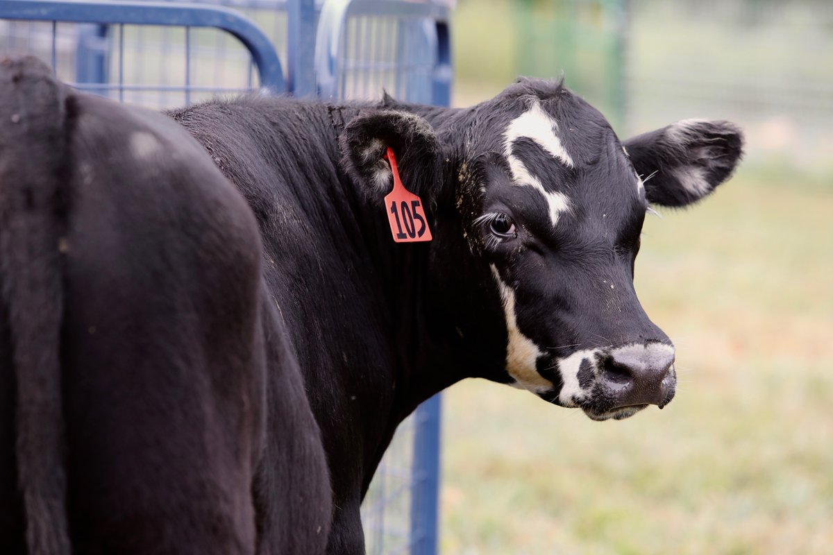OTCedu's tweet photo. Meet the newest members of our agriculture program @OTC_RVC. 😍 

Learn more: https://t.co/LcNbpIQI6w https://t.co/gYQ81mYmE9