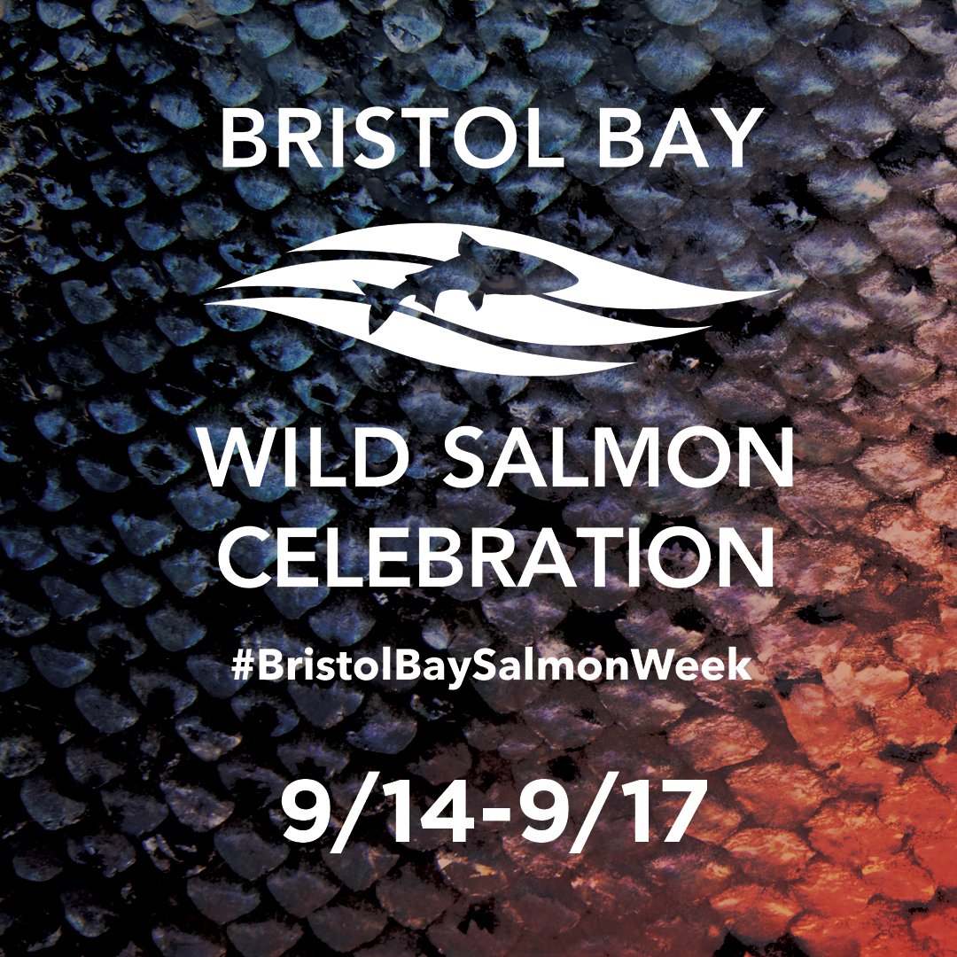 Mark your calendars for this year's virtual #BristolBaySalmonWeek from September 14-17! 

Bristol Bay is coming to you with virtual events streamed nationwide celebrating one of the world’s largest wild salmon runs. 

RSVP and learn more: bbnc.net/2020-salmon-we…