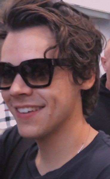 harry styles as a golden retriever—a short but very cute thread