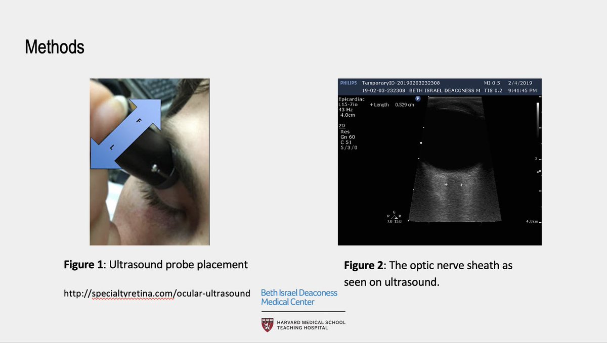 SOAPHQ's tweet image. #GertieMarx #2 - Merry Colella from @BethisraelD - #SOAPAM2020