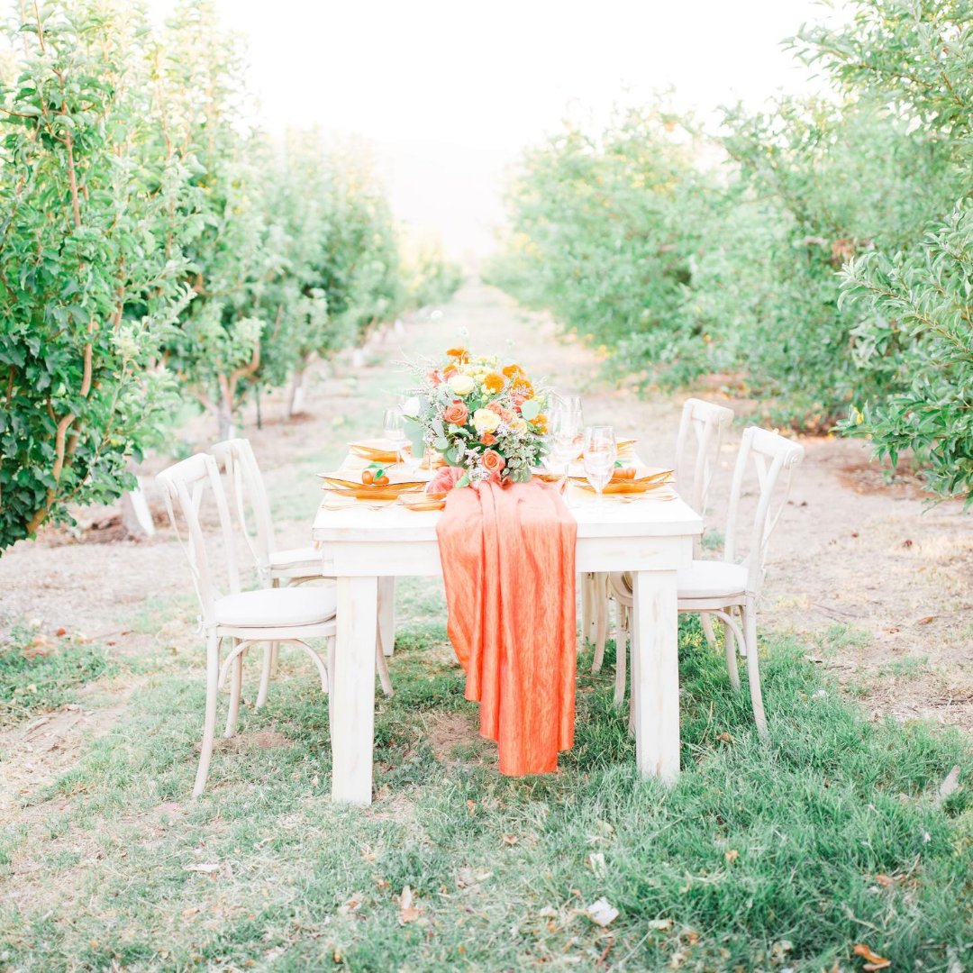RentalsLV's tweet photo. Vineyard or garden wedding?

@alyciamoorephoto 
@gilcrease_orchard 
@_acsfloralevents 
@ashyumz_custom_sweets 
@cosmokupcakehairlv 
@foreversafter 
@lulusTable 
@alyciamoorephotoStationary: @madisonstationary
@hunterbauer_ and @ally.renee1
@tngmodelsShoes: @anewday.official https://t.co/3cGOraUm2x