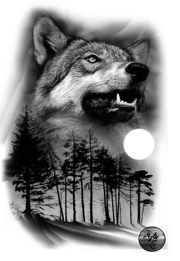Thiago_Filippo's tweet photo. #LSSDV 🐺❤

@alexcastroo9
@maaandacruz
@TeMpEsTaDeESDV
@MiaToretto0
@YerayElite  
@foreveravrillag

#SextaLobosSDV 
#SextaGuadioesDoSDV https://t.co/uGzBvkUuhS