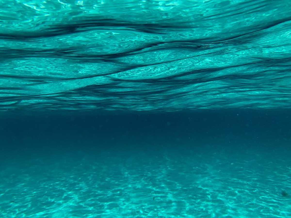Revisiting Ratios

A multinational study overturns a 130-year old assumption about seawater chemistry.

eemb.ucsb.edu/news/all/2020/…