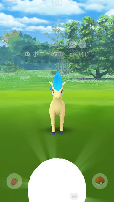 ゼニガメのtwitterイラスト検索結果