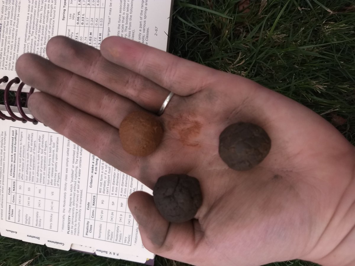 JennieMarie94's tweet photo. Finally back to some normalized class... Playing with different types of soils in class! #soilfun https://t.co/fuUJSvPf3p