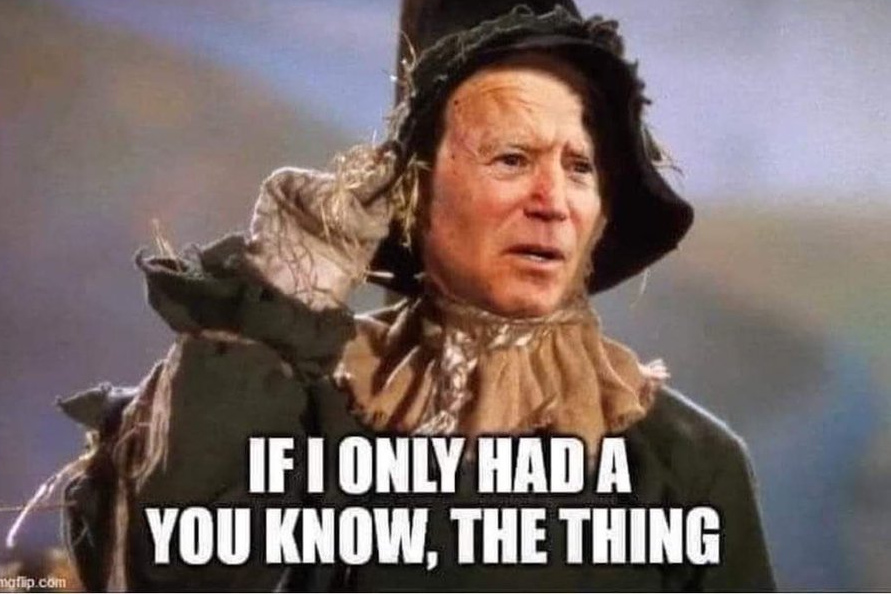 56) If Obama was operating a shadow government, would he pick as his White House proxy a senile old man?