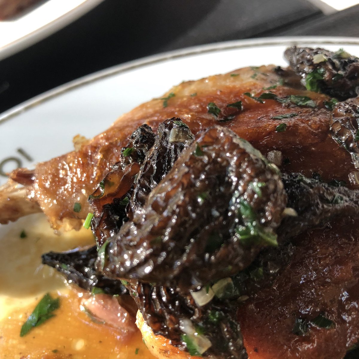 inyffeler's tweet photo. #pato #duck #canard #morrilles #morrill #morrell #morrile #delicioso #delicia #gourmet https://t.co/B8lVWft1ru