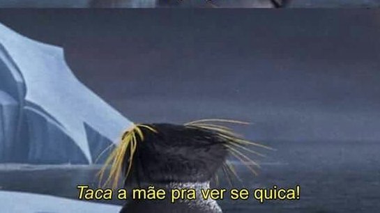 _KillMePlse_'s tweet photo. Eu to tanto tempo no Frio de Janeiro que nem pra tacar a mãe pra ver se quica eu sirvo. 
Enfim, o pinguim em panico https://t.co/2ZGOxt4JGC