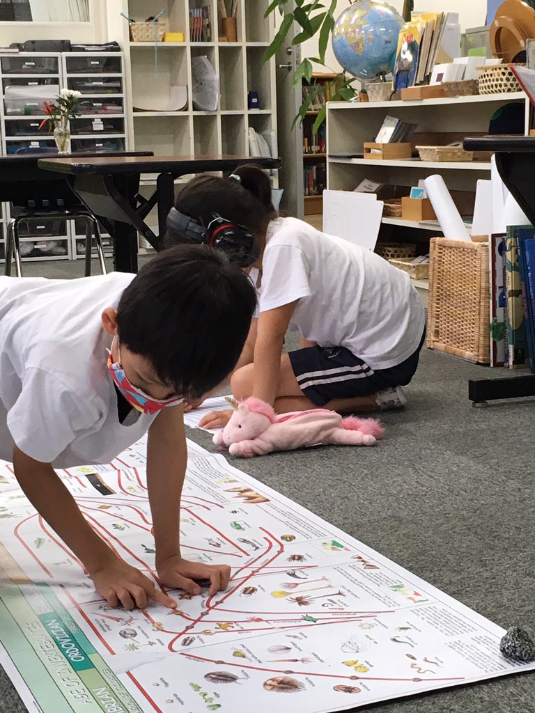 MSTokyoMaple's tweet photo. Exploring the timeline of life ... while social distancing of course! 🌿🦂🐟🐢🦗🦎🦖🦋🌺🦜🐘👶🏻 ##MSTelementary #MSTEducationReimagined #MSTdiscovery https://t.co/ouMMBMDFzl
