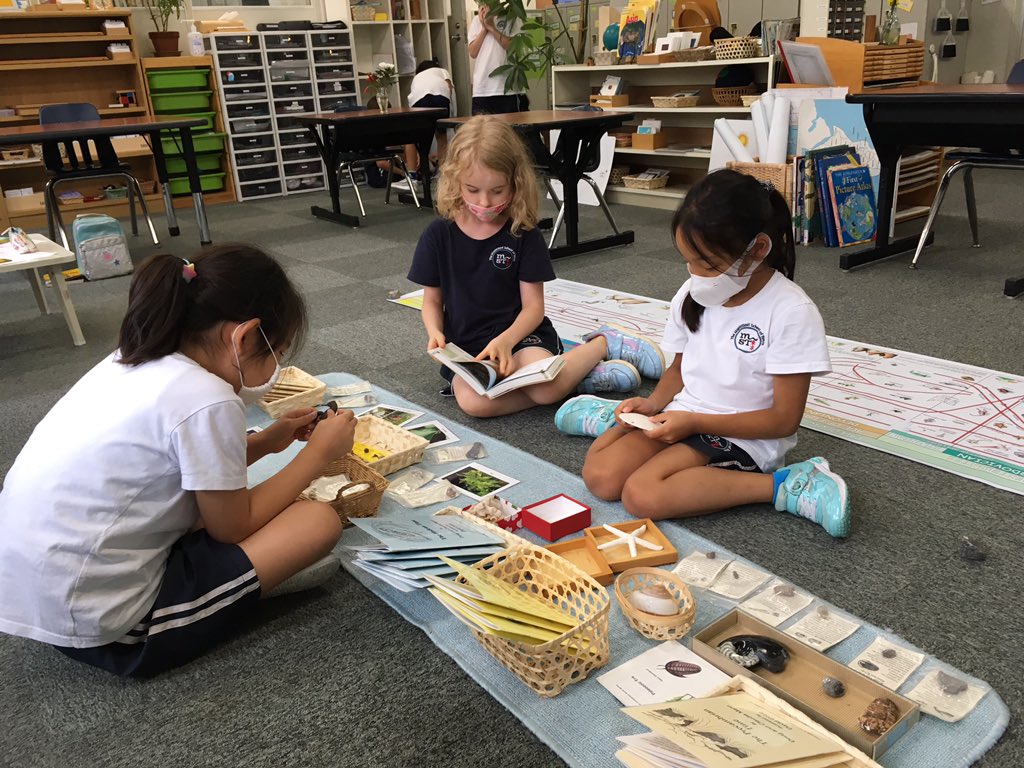 MSTokyoMaple's tweet photo. Exploring the timeline of life ... while social distancing of course! 🌿🦂🐟🐢🦗🦎🦖🦋🌺🦜🐘👶🏻 ##MSTelementary #MSTEducationReimagined #MSTdiscovery https://t.co/ouMMBMDFzl