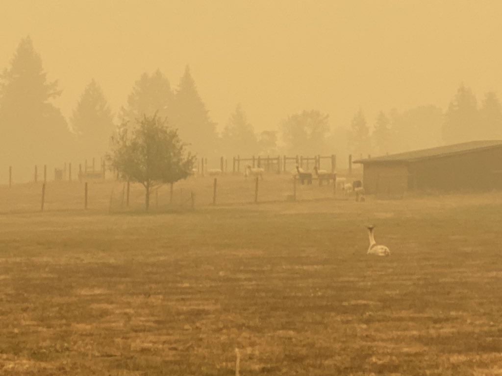 Taking 2020 in stride