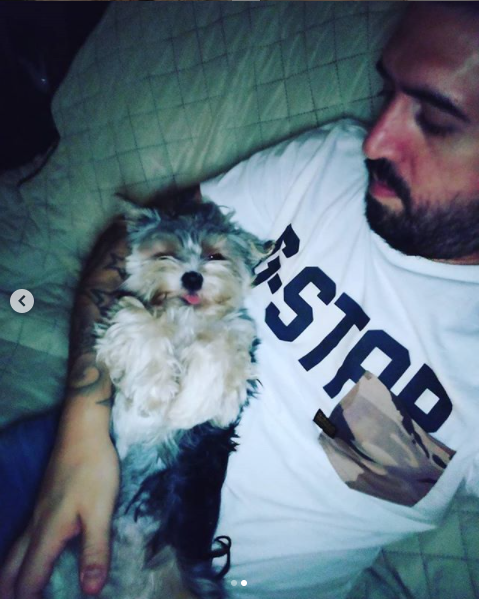 RaulCuartero's tweet photo. Hoy, hace justo un año llegaba esta bolita a casa. y desde el primer día con su lengua fuera 😂😂 #cholo #lovedog #mienano ♥♥ https://t.co/c9LhTKNdhE
