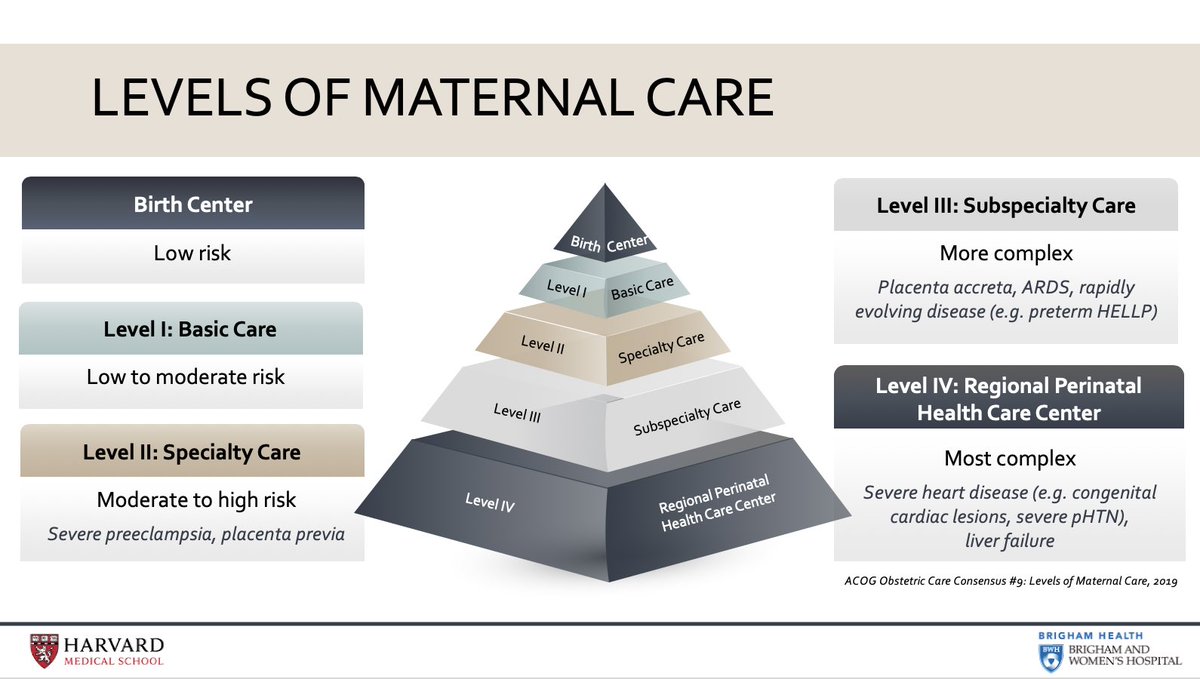 SOAPHQ's tweet image. #GertieMarx #5 - Jimin Kim from @BrighamOBAnes @Harvard - #SOAPAM2020