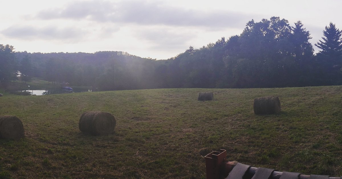 Skyview Ranch tweet media