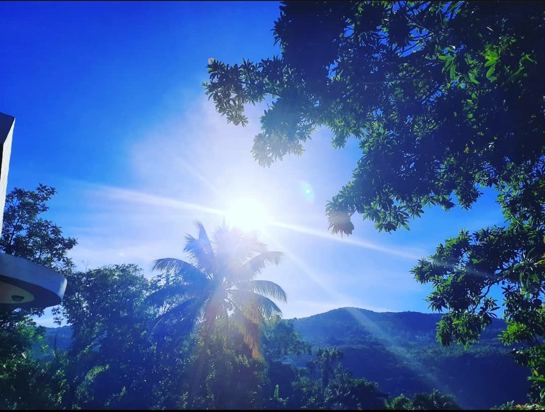 DreamarL's tweet photo. This is awesome. God is Great in all His Wondrous Works 🙏 https://t.co/96uUNLEAxz